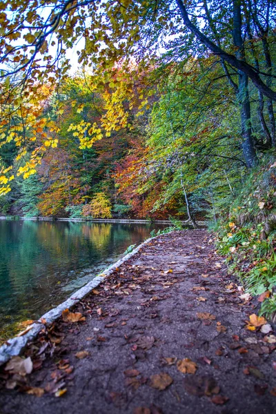 Lagoa Plitvice Jezera Park Croácia — Fotografia de Stock