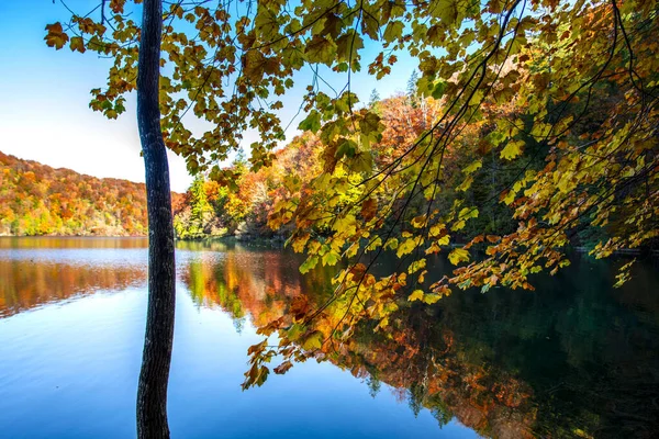 Pond Plitvice Jezera Park Croatia — Stock Photo, Image