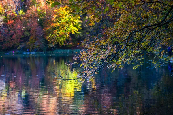 Pond Plitvice Jezera Park Kroatien — Stockfoto