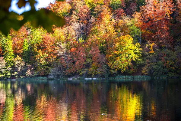 Rybník Parku Plitvice Jezera Chorvatsko — Stock fotografie