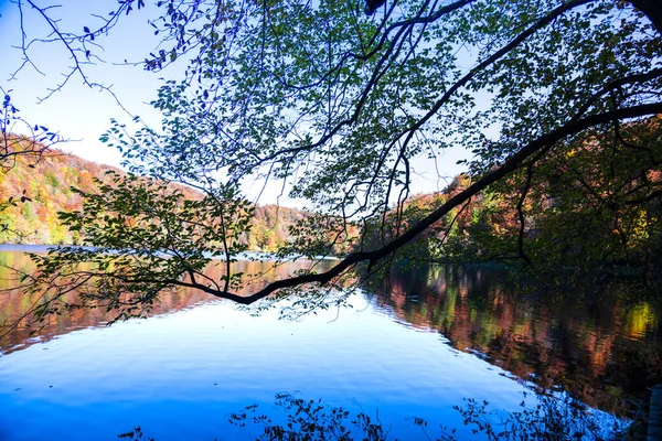 Lagoa Plitvice Jezera Park Croácia — Fotografia de Stock