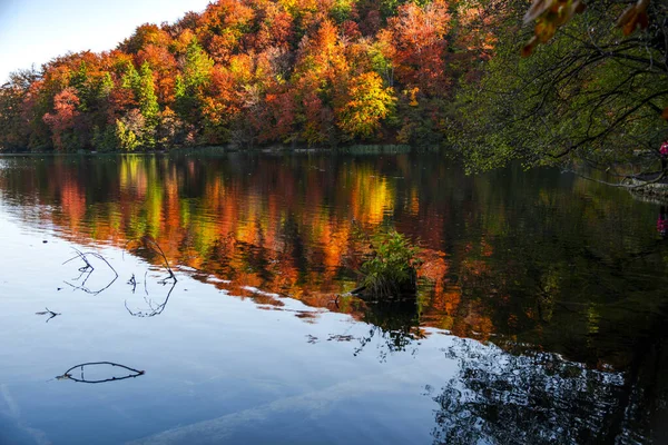 Staw Parku Plitvice Jezera Chorwacja — Zdjęcie stockowe