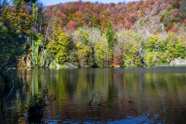 Teich Park Plitvice Jezera Kroatien — Stockfoto