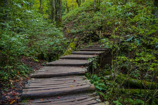 Paysage Parc Plitvice Jezera Croatie — Photo