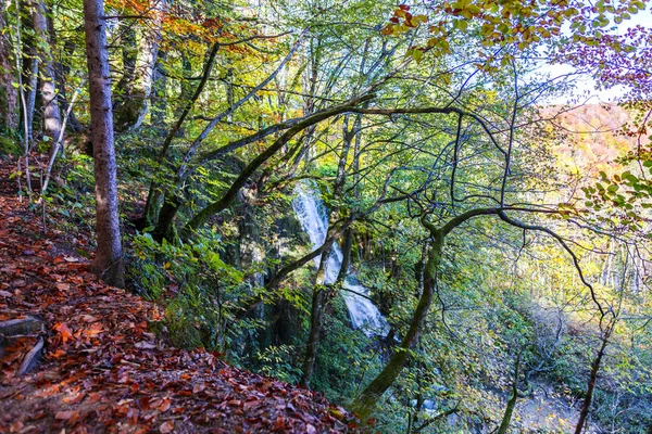 Paisagem Plitvice Jezera Park Croácia — Fotografia de Stock