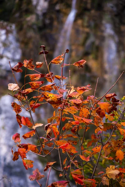 Landschaft Des Parks Plitvice Jezera Kroatien — Stockfoto