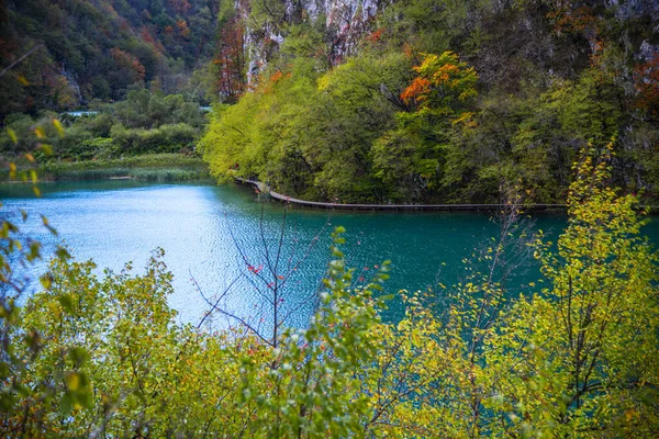 Paysage Rivière Turquoise Dans Forêt — Photo