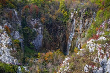 Hırvatistan 'ın Plitvice Jezera Park kentinde şelaleler.