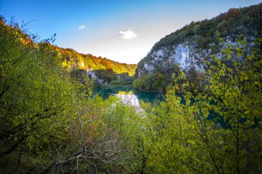 Hırvatistan 'ın Plitvice Jezera Parkı' nda gölet.