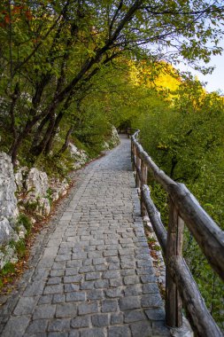 Hırvatistan 'ın Plitvice Jezera Parkı manzarası.