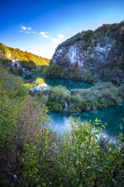 Hırvatistan 'ın Plitvice Jezera Parkı' nda gölet.