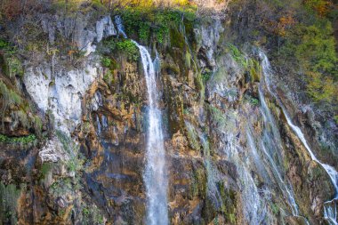 Hırvatistan 'ın Plitvice Jezera Park kentinde şelaleler.
