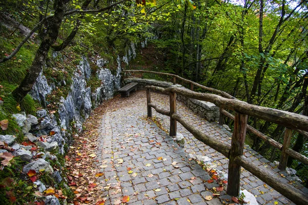 Paysage Parc Plitvice Jezera Croatie — Photo