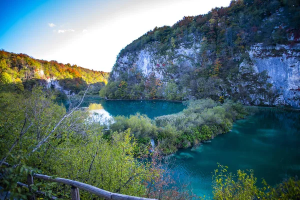 Pond Plitvice Jezera Park Kroatien — Stockfoto