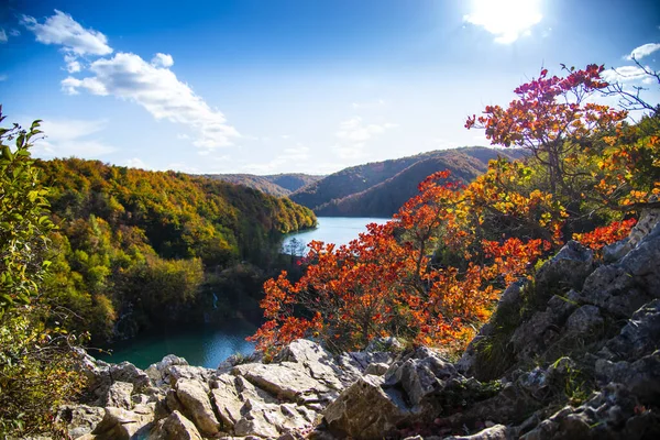 Estanque Plitvice Jezera Park Croacia — Foto de Stock