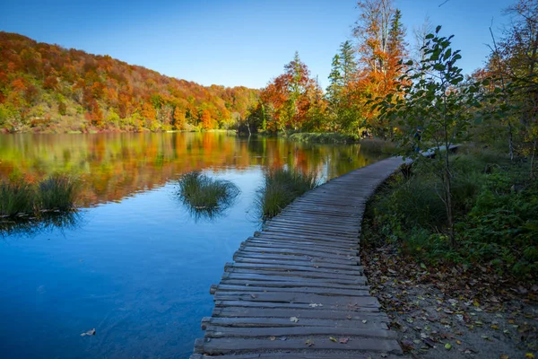 池のある紅葉の森 — ストック写真