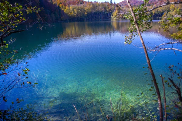 Floresta Outonal Colorida Com Lagoa — Fotografia de Stock