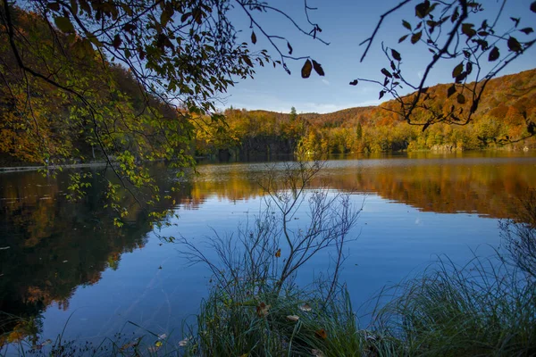 Bunter Herbstlicher Wald Mit Teich — Stockfoto