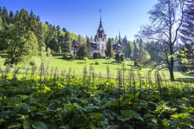 Yeşil Park 'ın merkezinde eski bir kale