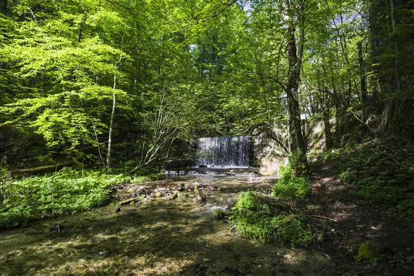 Gröna Vårvattenfall Skogen — Stockfoto