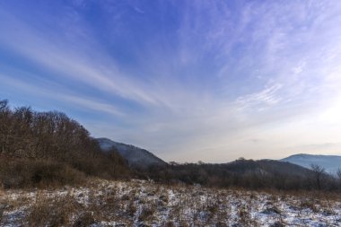 Karlı kış ormanlarında yürürken