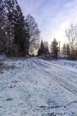 Karlı kış ormanlarında yürürken
