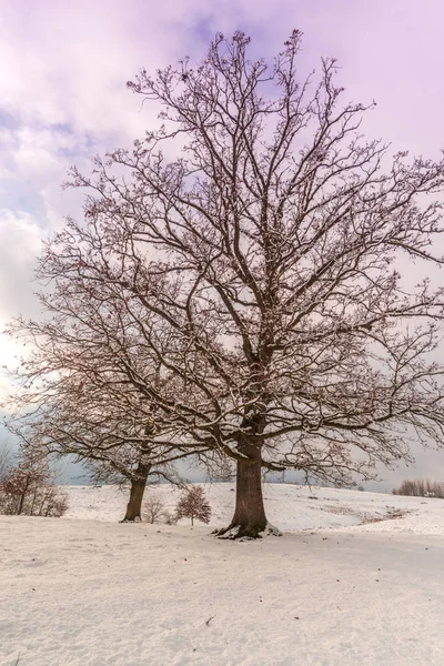 Sneeuwrijke Winterbergen Met Kleurrijke Lucht Bij Zonsondergang — Stockfoto