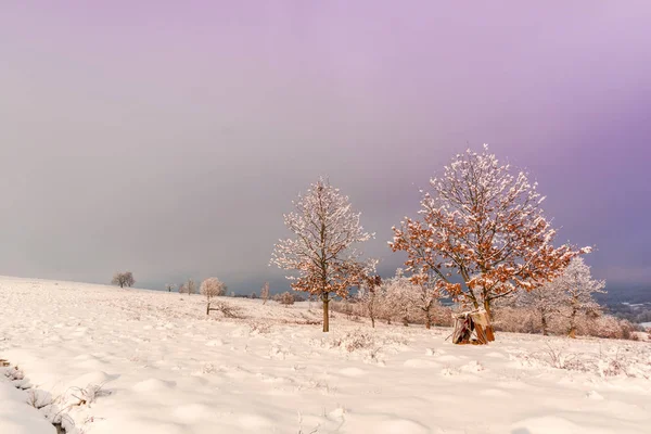 Sneeuwrijke Winterbergen Met Kleurrijke Lucht Bij Zonsondergang — Stockfoto