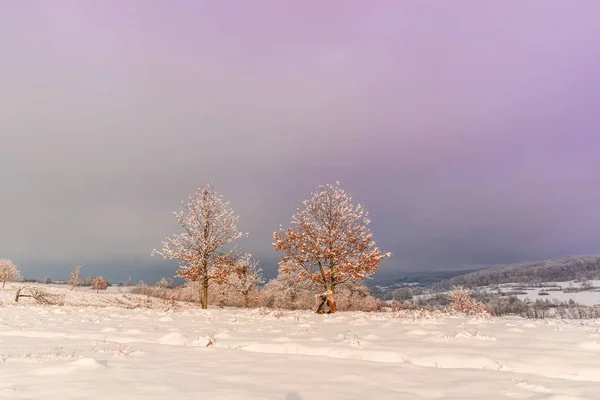 Sneeuwrijke Winterbergen Met Kleurrijke Lucht Bij Zonsondergang — Stockfoto