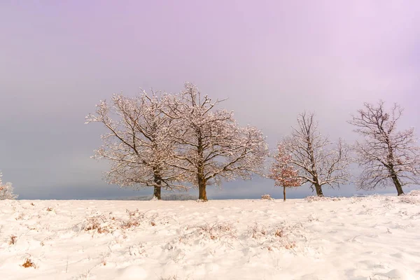 Sneeuwrijke Winterbergen Met Kleurrijke Lucht Bij Zonsondergang — Stockfoto