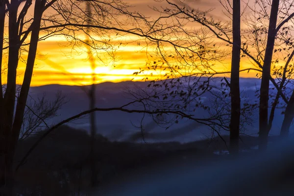 Bright Sunset Winter Forest — Stock Photo, Image