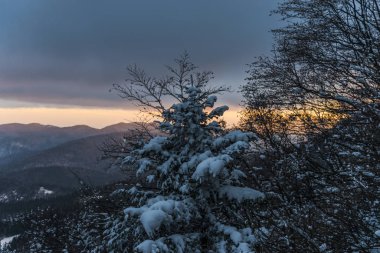 Karlı kış dağları, doğa manzarası.