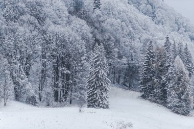 Karlı kış dağları, doğa manzarası.