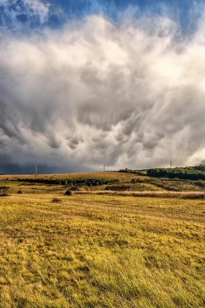 Bulutlu Gökyüzü Ile Sonbahar Alanı Manzarası — Stok fotoğraf