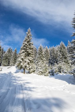 Kış dağlarını kaplayan kar manzarası