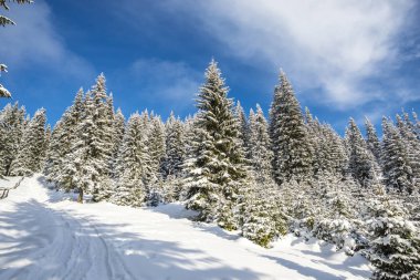 Kış dağlarını kaplayan kar manzarası