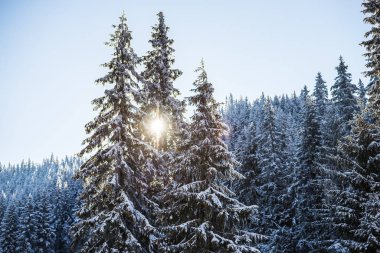 Kış dağlarını kaplayan kar manzarası