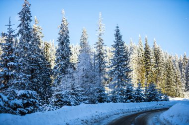 Kış dağlarını kaplayan kar manzarası