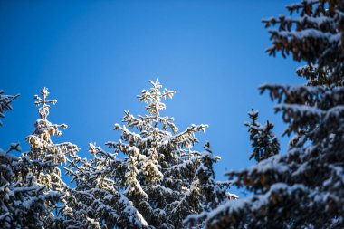 Kış dağlarını kaplayan kar manzarası