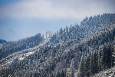 Kış dağlarını kaplayan kar manzarası