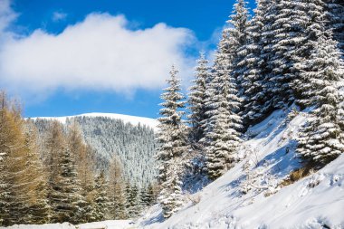 Kış dağlarını kaplayan kar manzarası