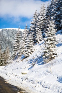 Kış dağlarını kaplayan kar manzarası