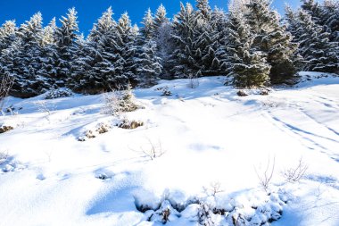 Kış dağlarını kaplayan kar manzarası