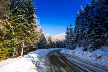 Kış dağlarını kaplayan kar manzarası