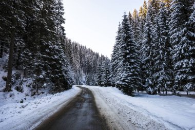 Kış dağlarını kaplayan kar manzarası