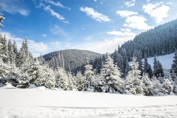 Paisaje Nieve Cubierto Montañas Invierno — Foto de Stock