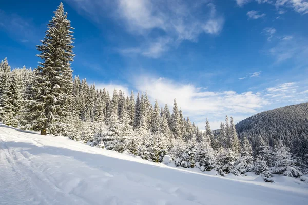 Paisaje Nieve Cubierto Montañas Invierno — Foto de Stock