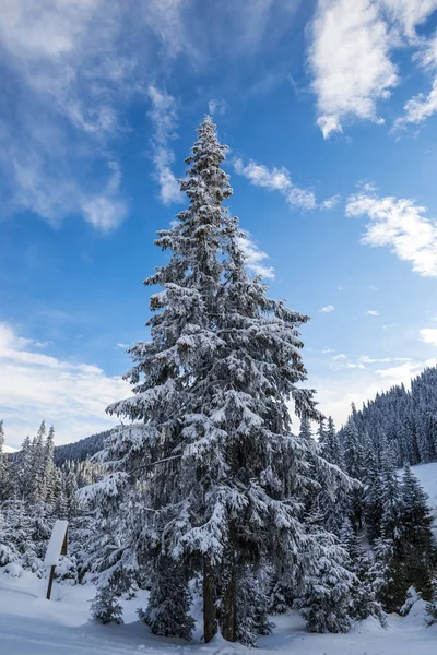 Paisaje Nieve Cubierto Montañas Invierno — Foto de Stock