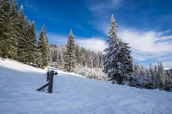 Paisaje Nieve Cubierto Montañas Invierno — Foto de Stock