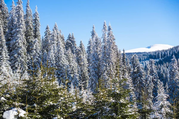 Paisagem Montanhas Inverno Cobertas Neve — Fotografia de Stock